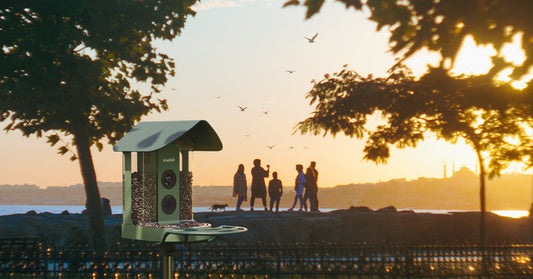 Who’s Birding With You?