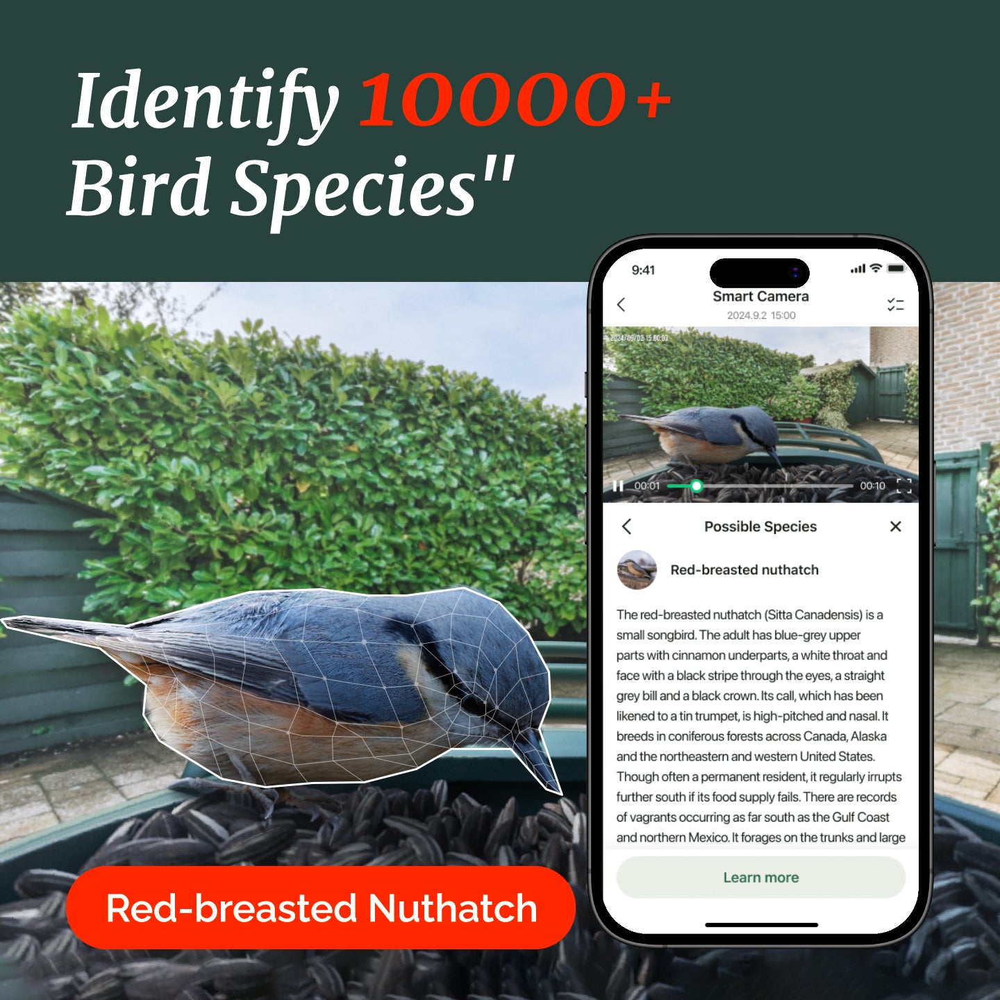 Beako™ 4K Smart Bird Feeder With Camera-Lifetime AI Plan Included,No Subscription Required