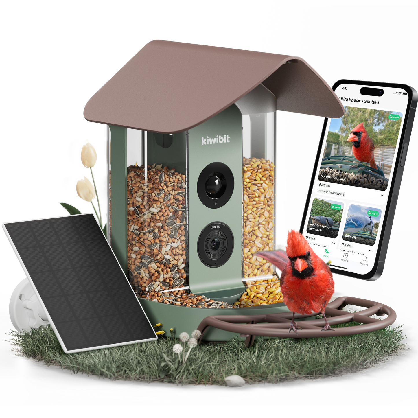Beako™ 4K Smart Bird Feeder With Camera-Lifetime AI Plan Included,No Subscription Required