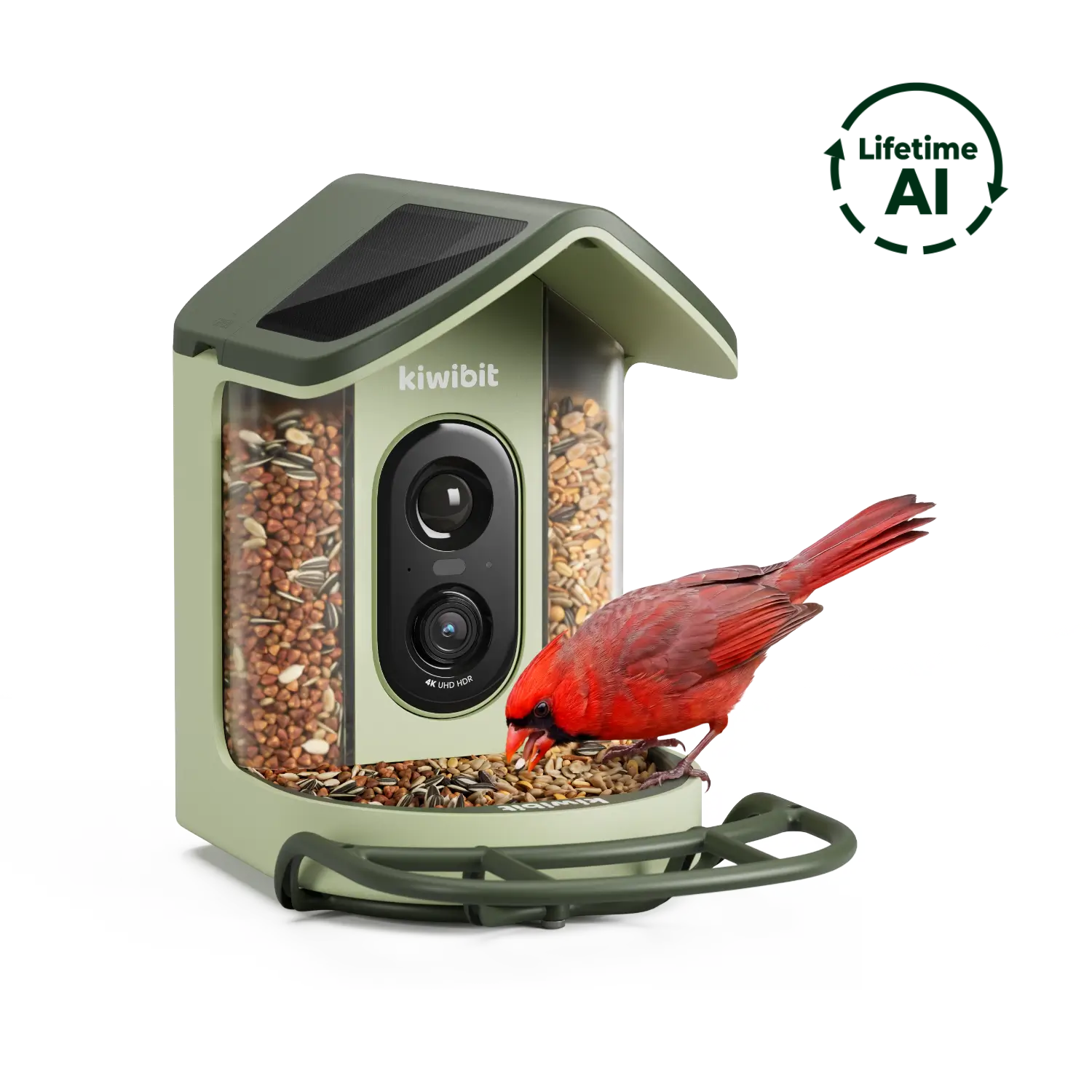 Kiwibit Bird Feeder 2 Mini 4K AI Camera with Solar Panel (Lifetime