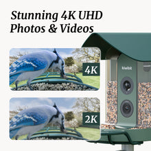 Beako™ Smart Bird Feeder