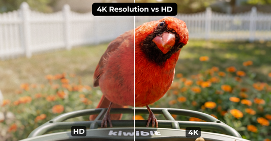 4K Resolution vs HD Explained: What the Pixel Gap Means for Your