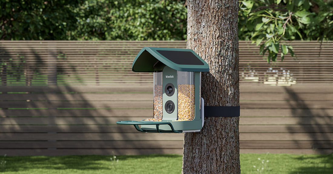 A Smarter Roof, A Tougher Cable: What’s New in Our Next-Gen Bird Feeder