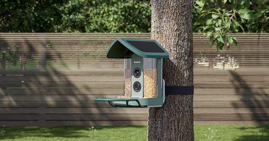 A Smarter Roof, A Tougher Cable: What’s New in Our Next-Gen Bird Feeder