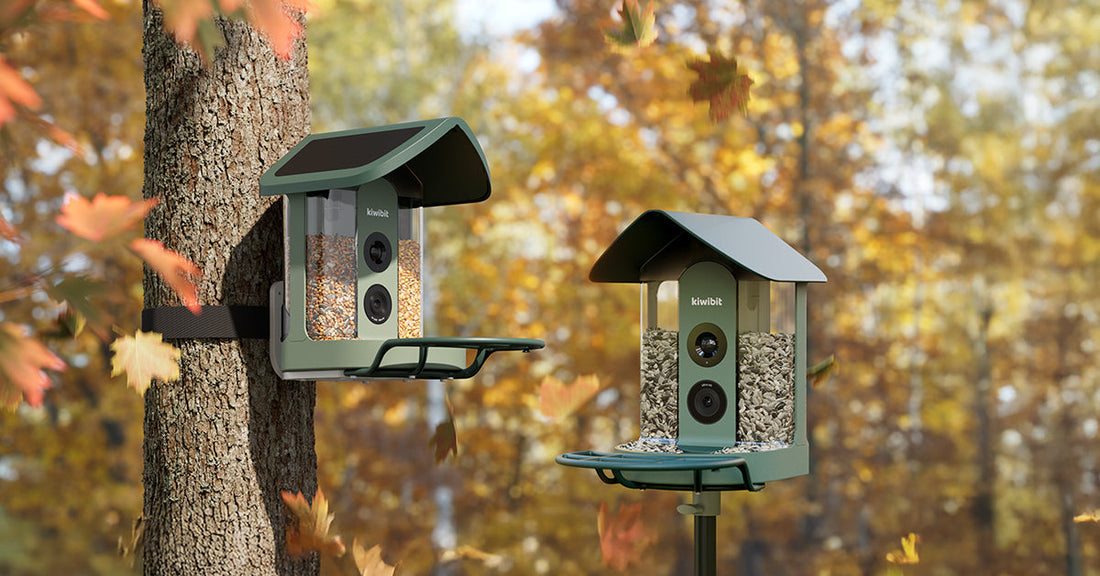 Best Smart Bird Feeders with Camera for 2025