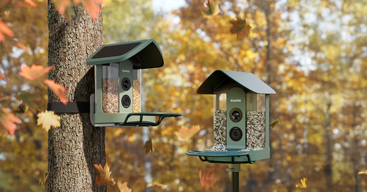 Best Smart Bird Feeders with Camera for 2025