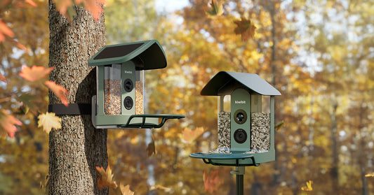 Best Smart Bird Feeders with Camera for 2026