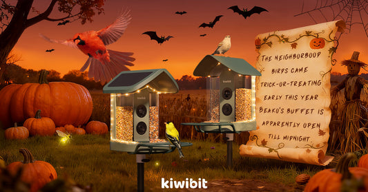 Pumpkin Feeding Tray, Done Right: A 48-Hour Halloween Playbook