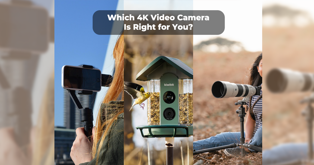Which 4K Video Camera Is Right for You? A Use Case Guide (2026)