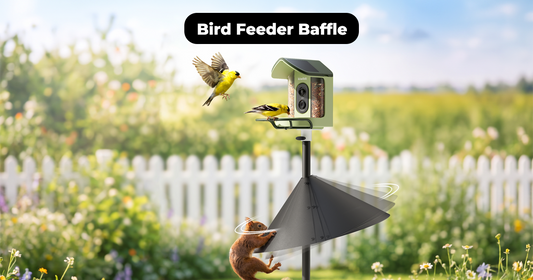 Bird Feeder Baffle Setup: Choose the Right Type and Install It Correctly