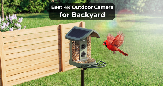 What Makes the Best 4K Outdoor Camera for Backyard Wildlife?