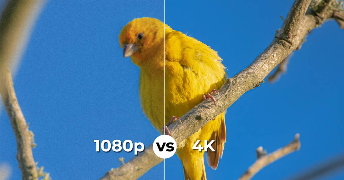 What Is a 4K Camera? 3 Systems That Decide What You Actually See