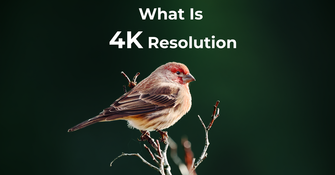 What Is 4K Resolution: Meaning and True 4K Explained