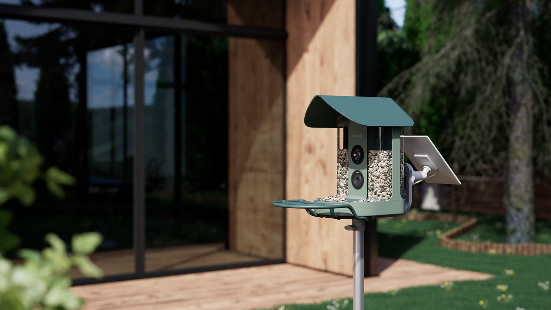 The Ultimate 2026 Tech Upgrade for Dad’s Backyard: Why This Smart Bird Feeder Gift Wins Father’s Day