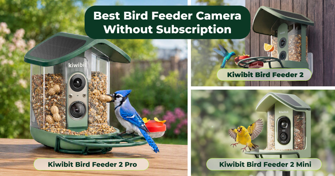 Which Kiwibit Bird Feeder Camera Without Subscription Fits You Best?