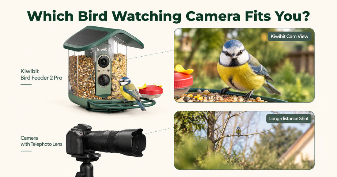 Bird Watching Camera: Start With Where the Birds Will Be