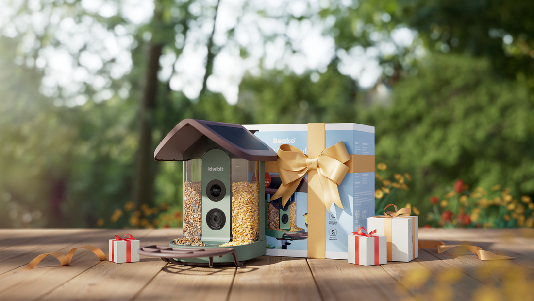 Best Bird Feeder Guide: Smart Camera, Solar & Squirrel-Resistant Options