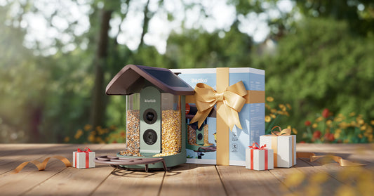 The Best Smart Bird Feeders for Backyard Birding in 2026