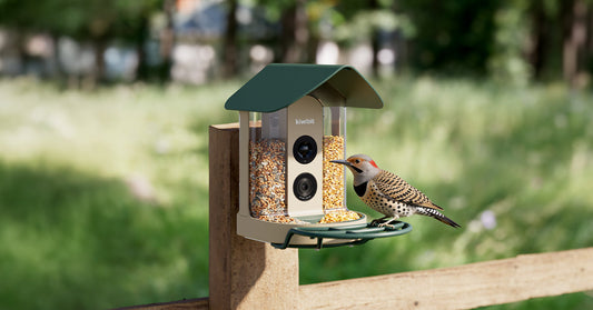 What to Look for in a Smart Bird Feeder With a Camera (2026 Buyer Checklist) — Featuring Kiwibit Plus