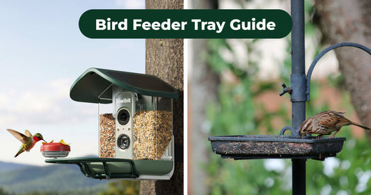 Bird Feeder Tray: Start With the Job, Not the Size