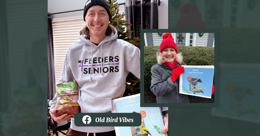 Birds Bring Us Together: Bringing Smart Birdwatching to More People