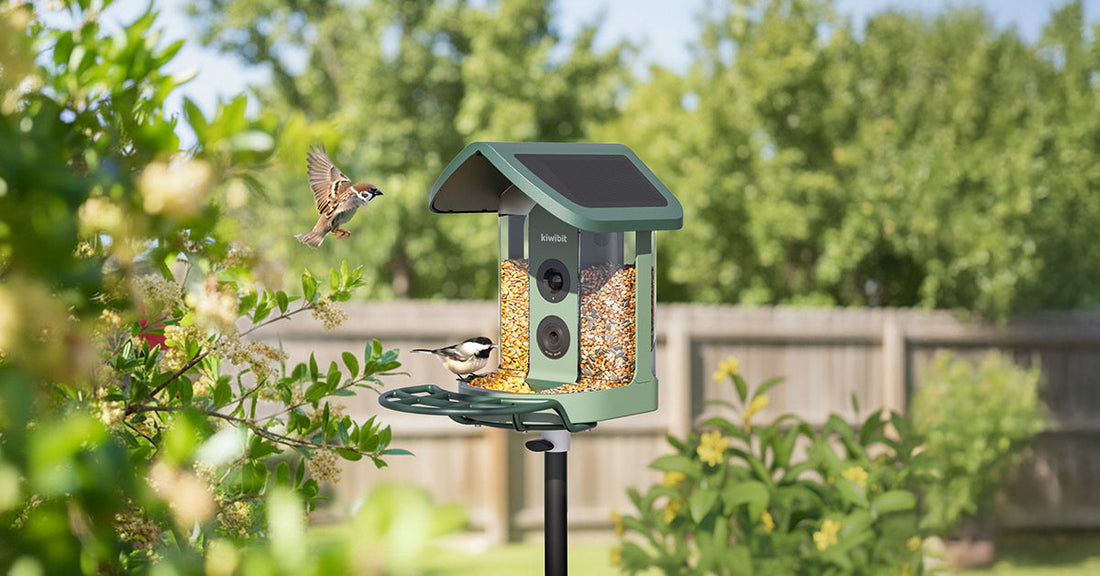 Beyond the Colors: 5 Birds That Actually Look Unreal