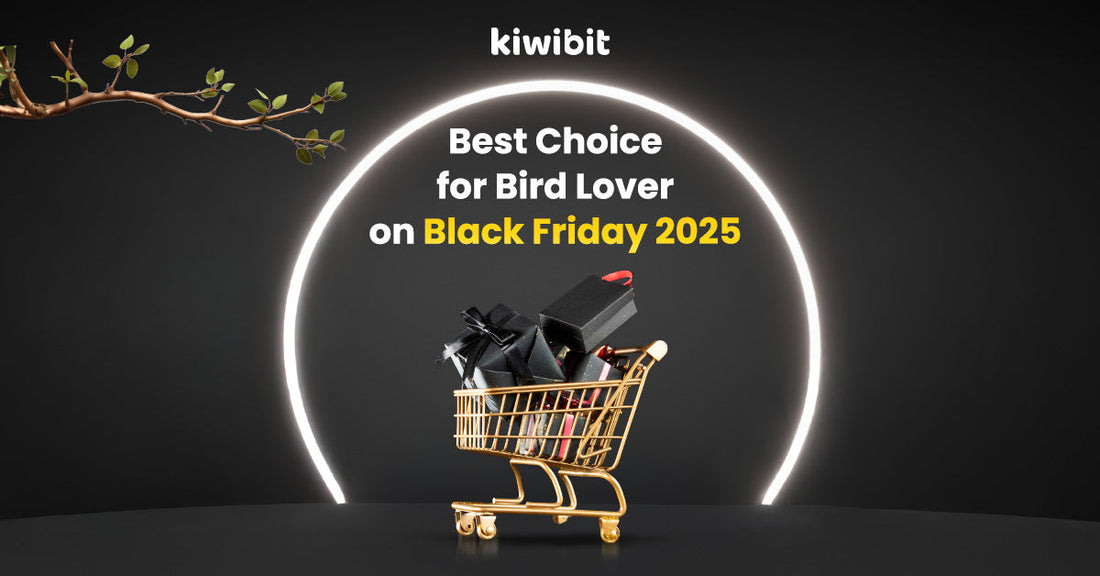 Black Friday Deals: The Ultimate Gift Guide for the Bird Lover