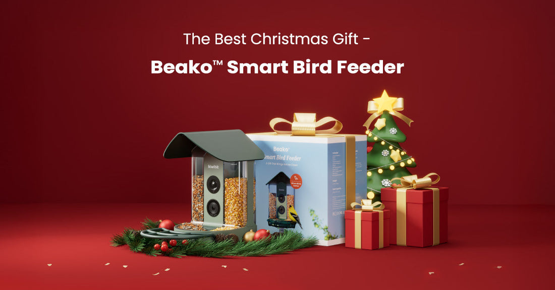 The Best Christmas Gift for Bird Lovers - Smart Bird Feeder
