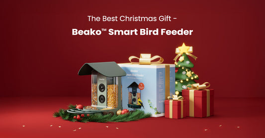 The Best Christmas Gift for Bird Lovers - Smart Bird Feeder