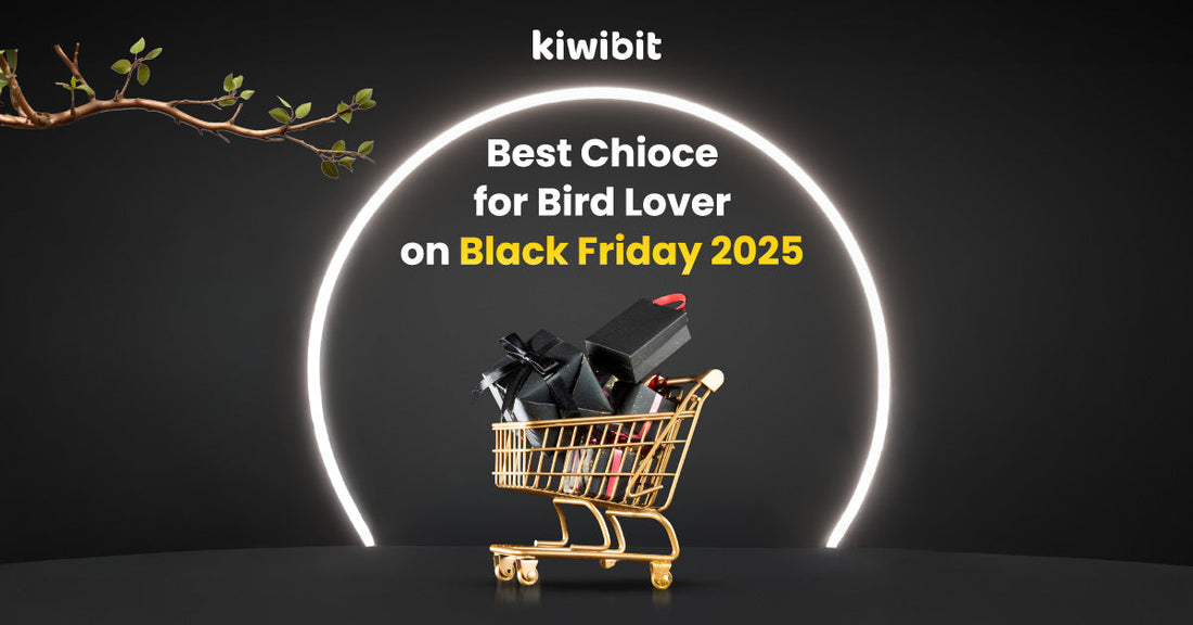 Black Friday Deals: The Ultimate Gift Guide for the Bird Lover