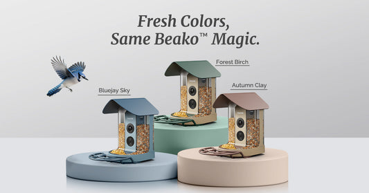 Fresh Colors for Christmas: Meet the New Beako™ Smart Bird Feeder Lineup