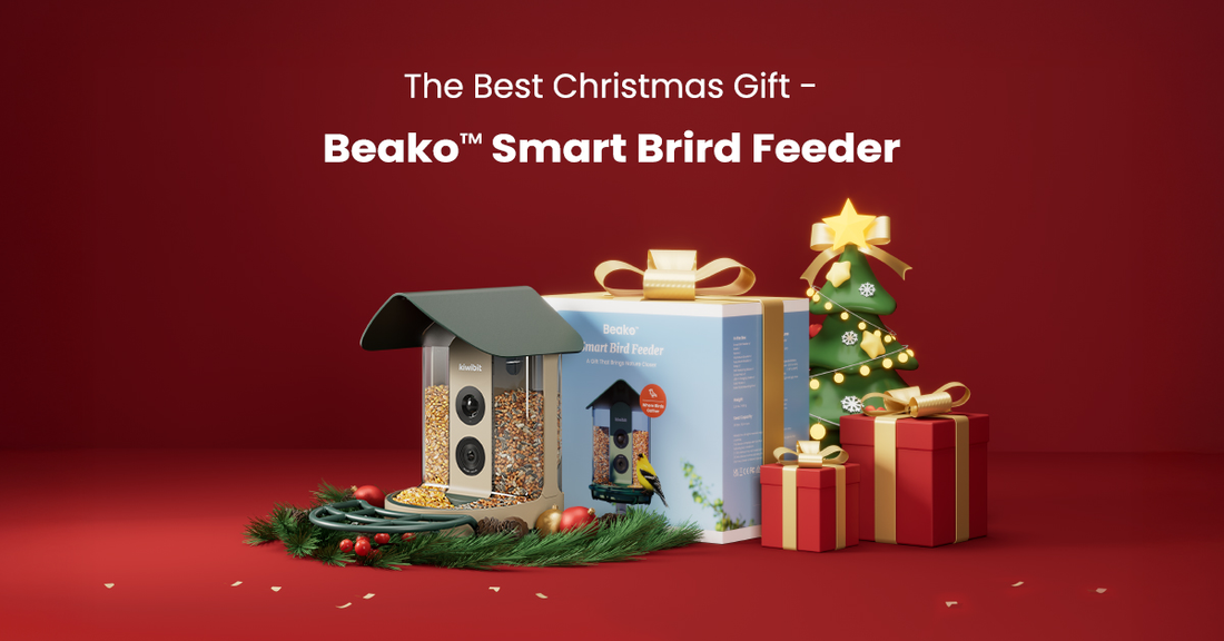 Why A Smart Bird Feeder Is The Perfect Christmas Gift For Bird Lovers