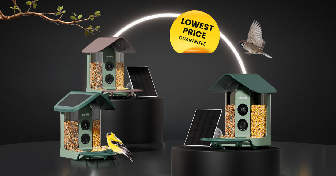 8 Reasons Your Traditional Bird Feeder Can’t Compete with Smart Feeders