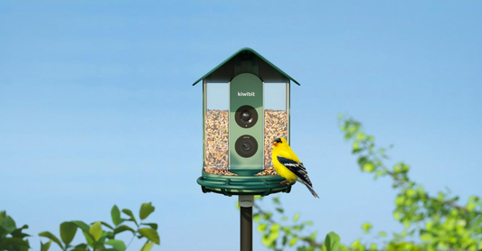 The Dream Gift on Every Nature Lover's Black Friday List