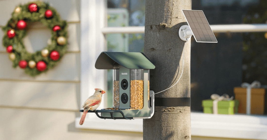 The Ultimate Beginner’s Guide to Your First Smart Bird Feeder