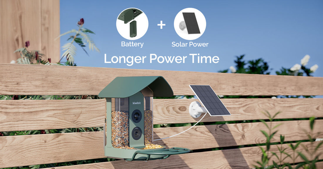 Why Do Smart Bird Feeders Use Solar Panels Now?