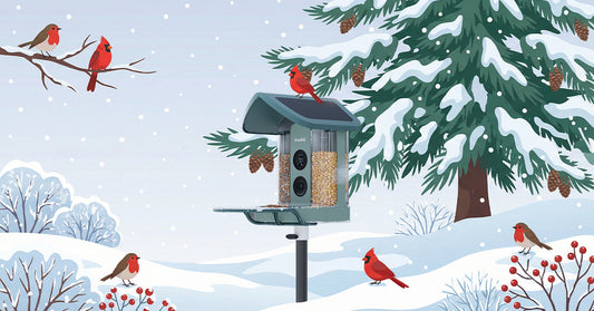 2026 Christmas Gifts for Bird Lovers Who Have "Everything": Try a 4K Smart Bird Feeder