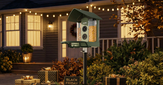 Best Smart Bird Feeder Camera Gift Guide for Bird Lovers 2025