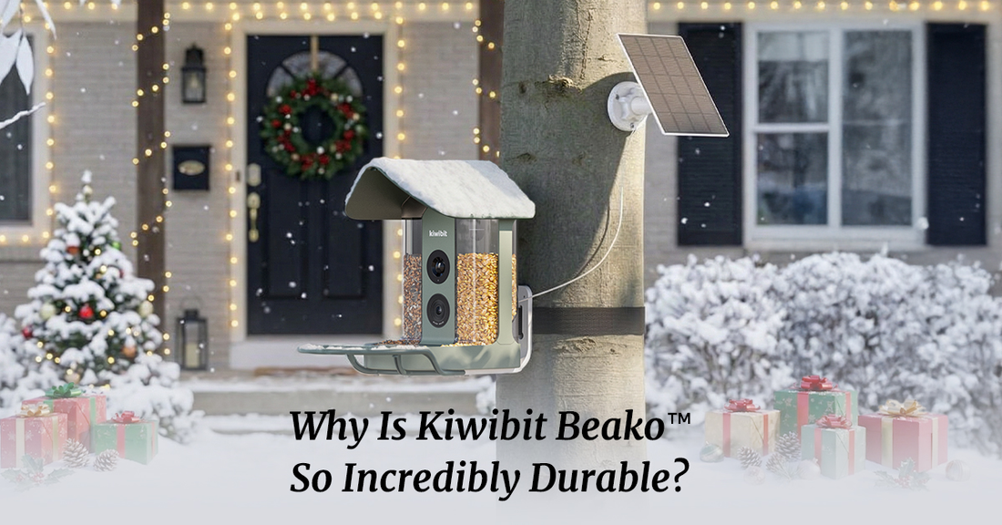 Built to Last Outdoors: Why the Kiwibit Beako™ Smart Bird Feeder Is So Durable