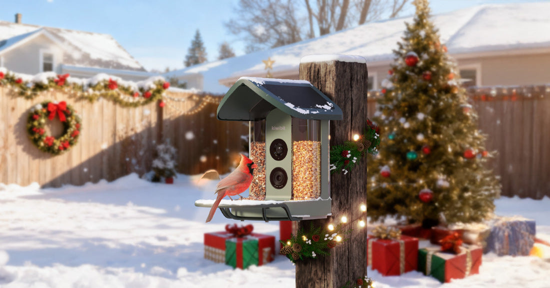 2025 Christmas Gifts for Bird Lovers: 6 Birdwatching Gifts They’ll Actually Use
