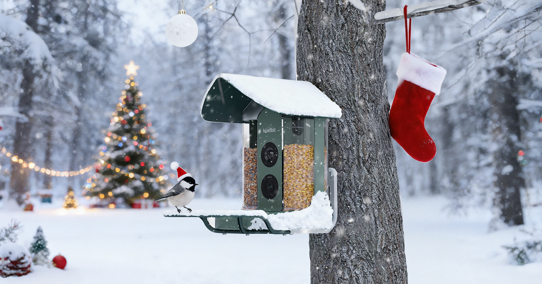 A Smart Bird Feeder: The Christmas Gift That Brings the Whole Family Outside