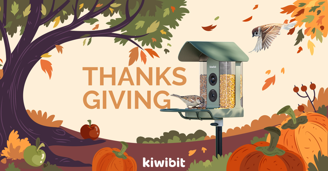 A Thanksgiving Letter From Your Backyard Regular