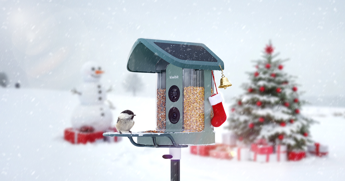 Birdwatching for Beginners: 5 Easy Tips to Start Your Journey