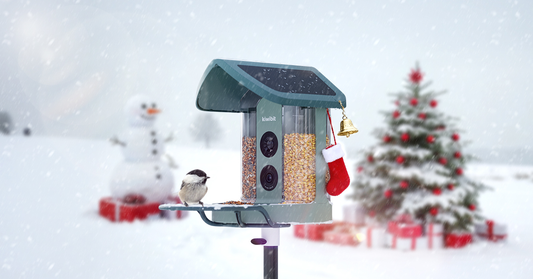 Birdwatching for Beginners: 5 Easy Tips to Start Your Journey