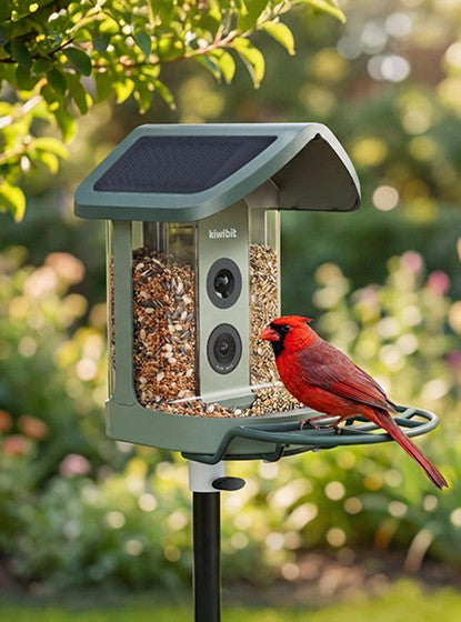 Vibrant red Northern Cardinal eating from Kiwibit solar-powered smart bird feeder