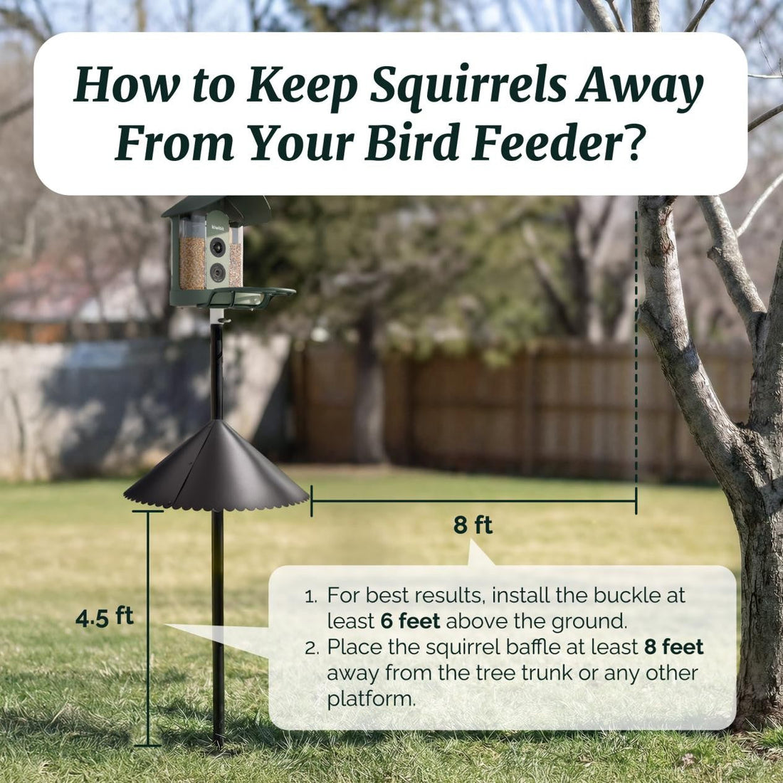 Kiwibit smart bird feeder showing rainproof, UV proof, squirrel proof, and easy to clean features with squirrel baffle