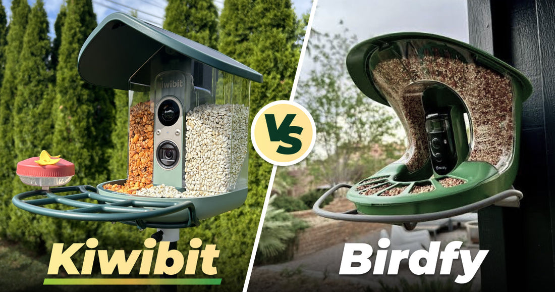 Kiwibit vs Birdfy: Which Smart Bird Feeder Is Worth Buying?