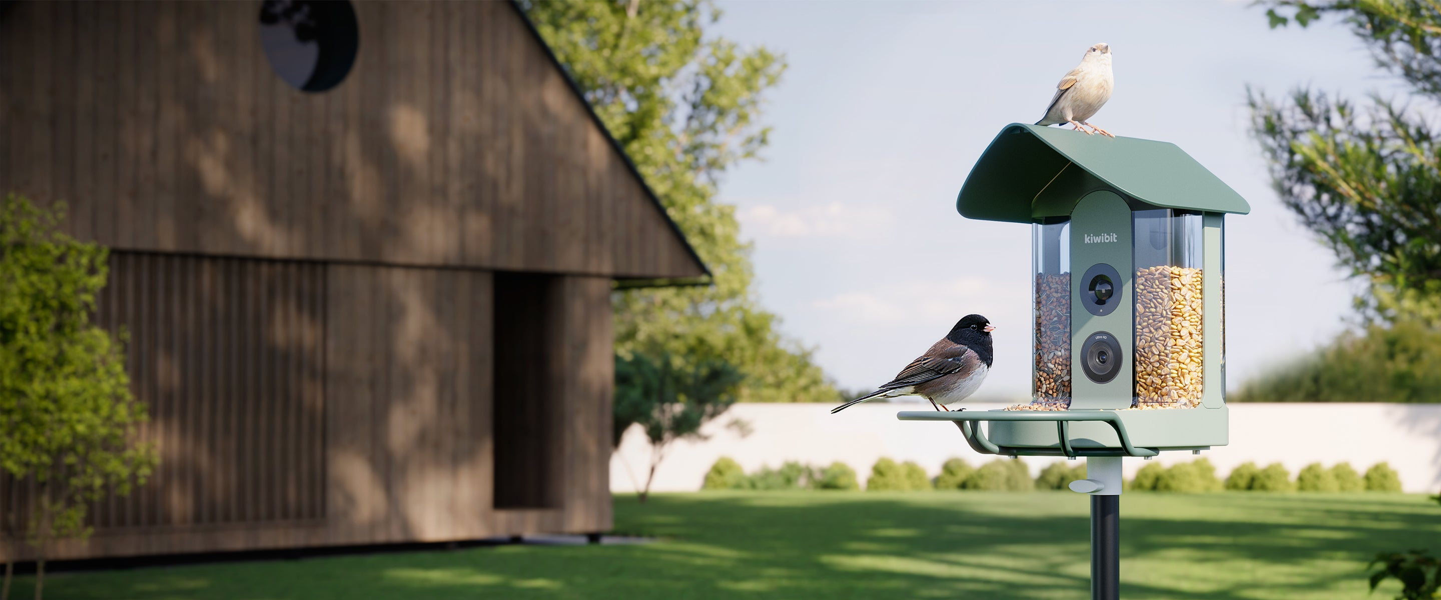 Kiwibit Beako smart bird feeder with camera placed outdoors with birds on perch.