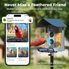 Kiwibit Bird Feeder 4K AI Camera Solar Panel Kit