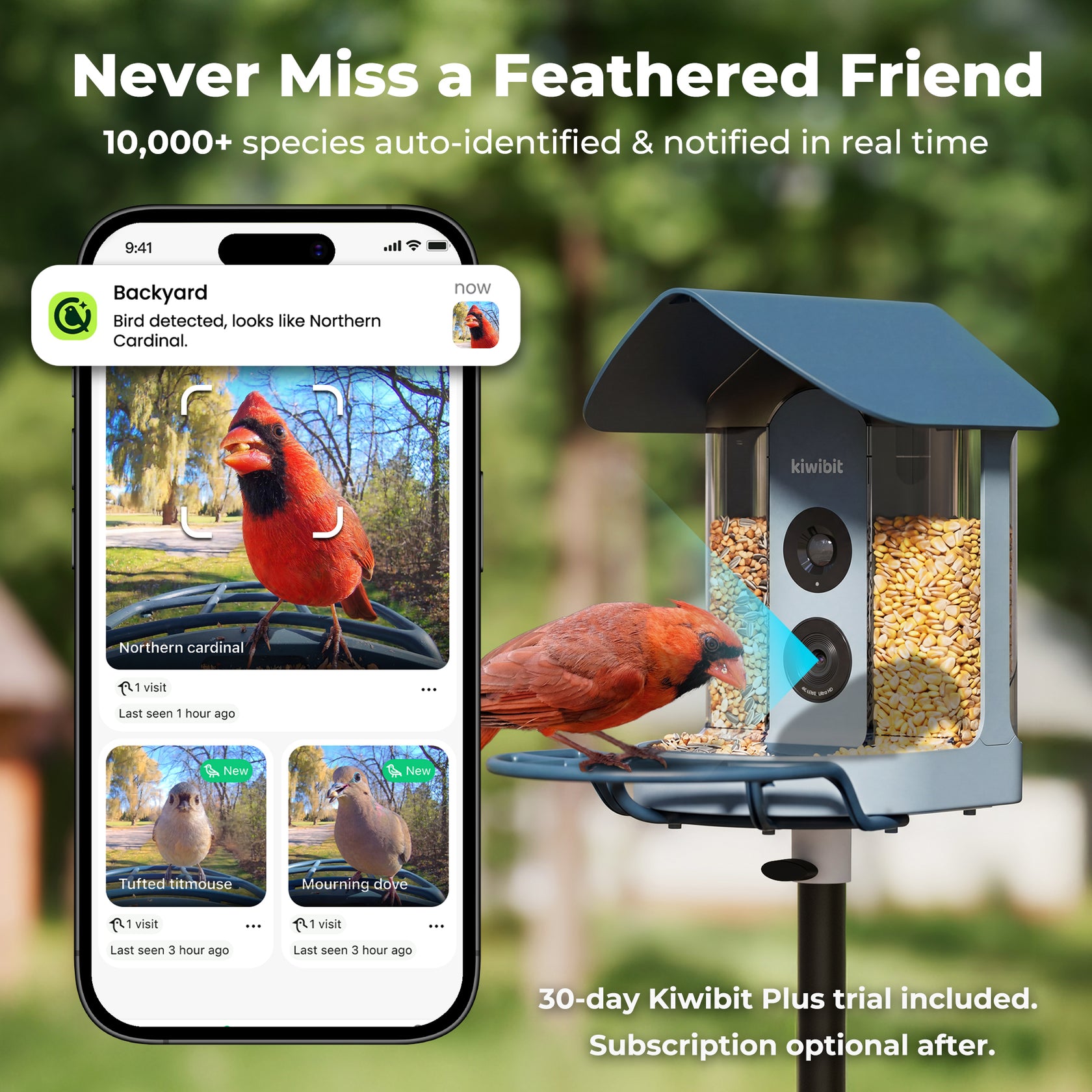 Kiwibit Bird Feeder 4K AI Camera Solar Panel Kit